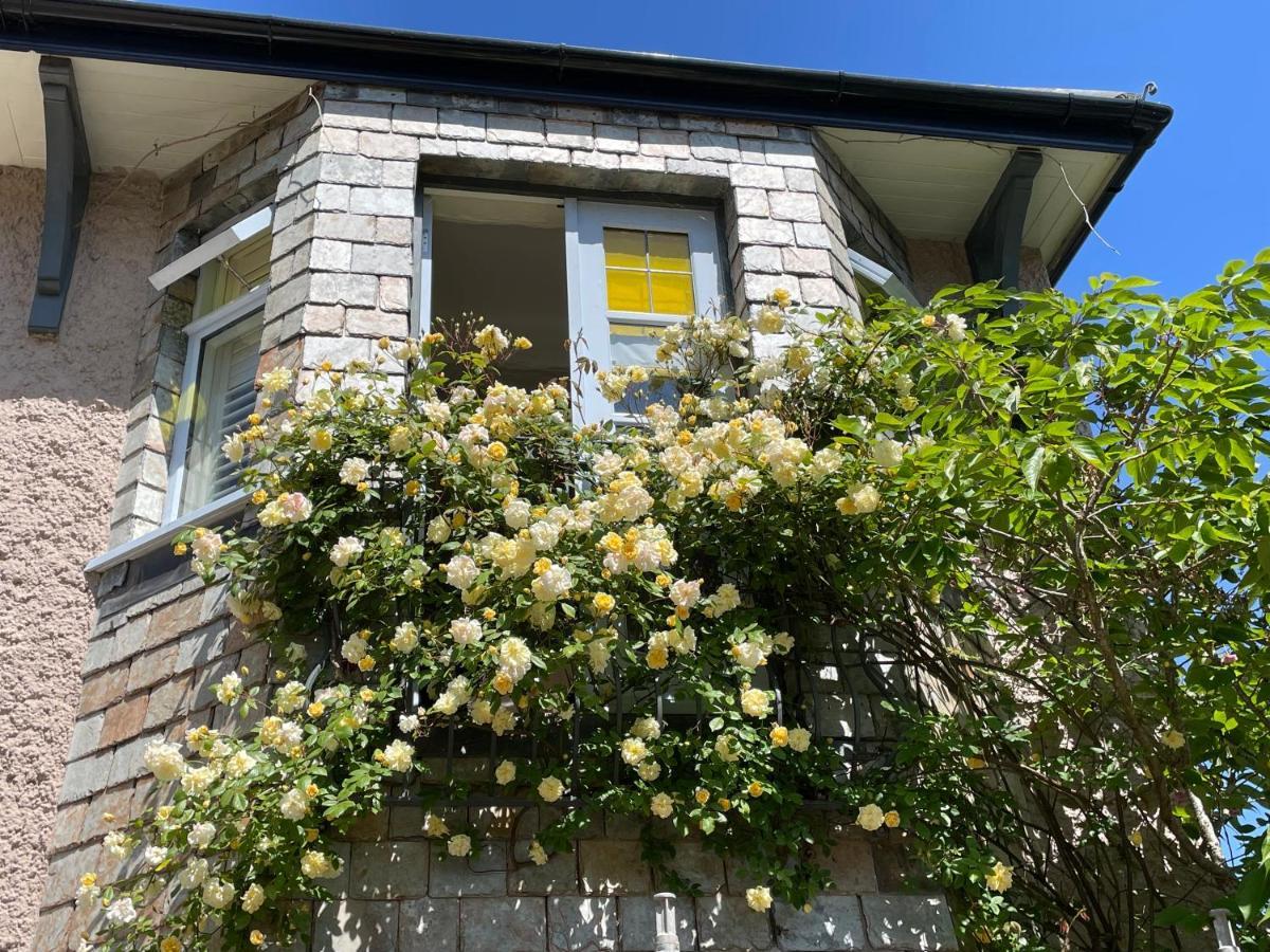 Bradleigh Lodge St Austell Buitenkant foto